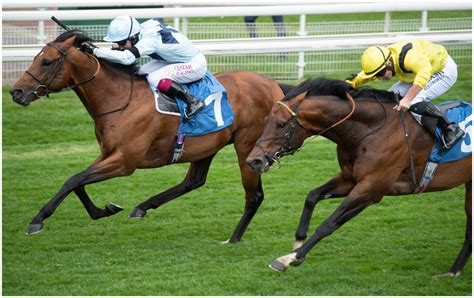 Royal Ascot 2021 Stats Guides: Diamond Jubilee Stakes.